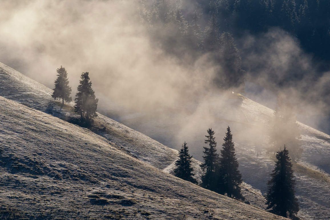 Abstract Nature Landscape In Rodnei Mountains